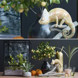 Decorative chameleon